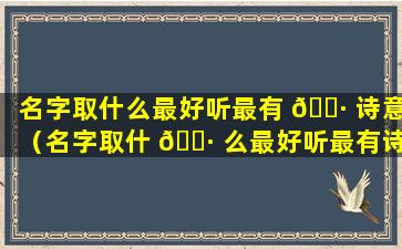 名字取什么最好听最有 🕷 诗意（名字取什 🌷 么最好听最有诗意女孩）